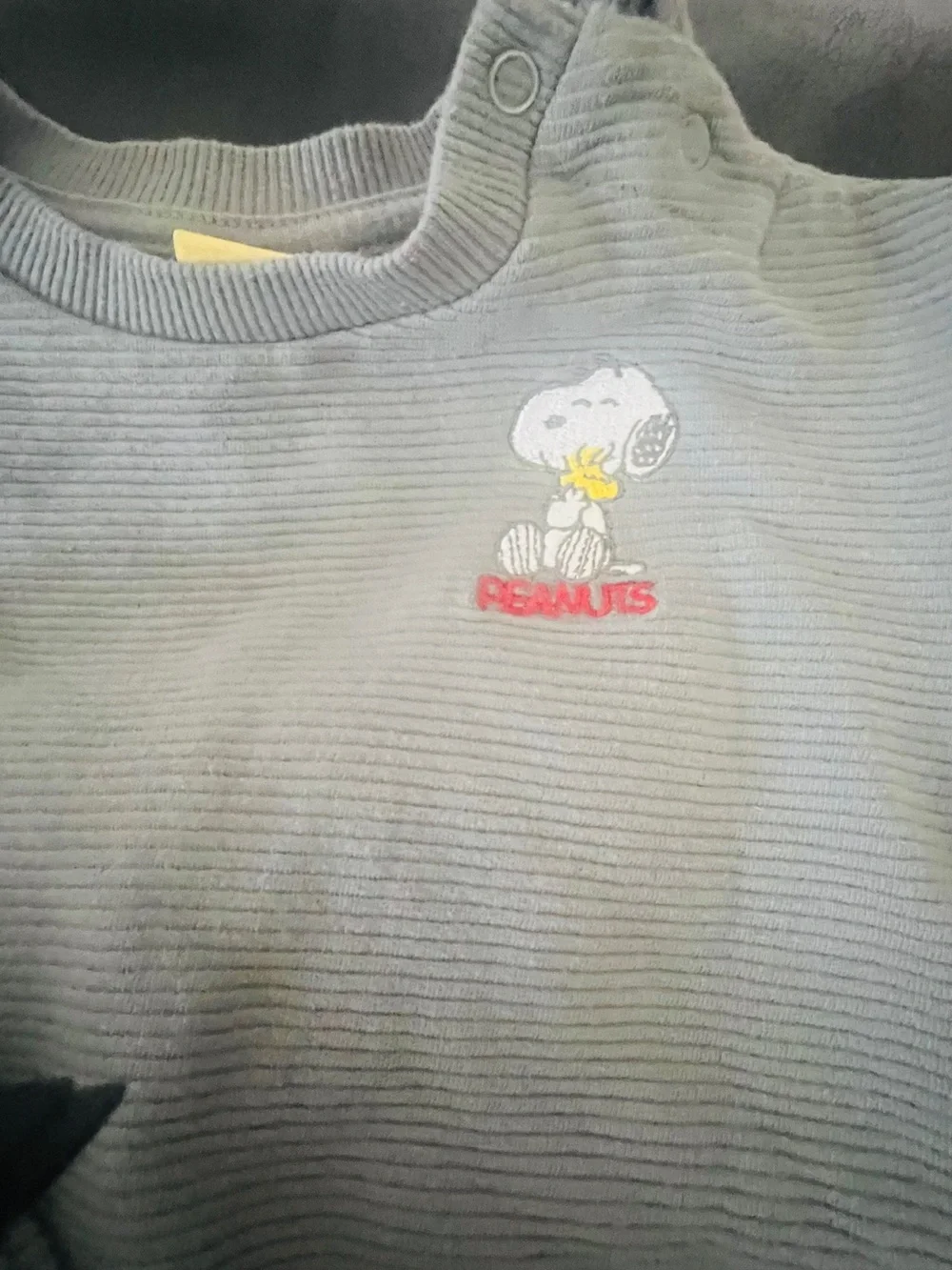 Peanuts Snoopy  Gray Sweatshirt  and Pants with Brand Tag 3-6 months